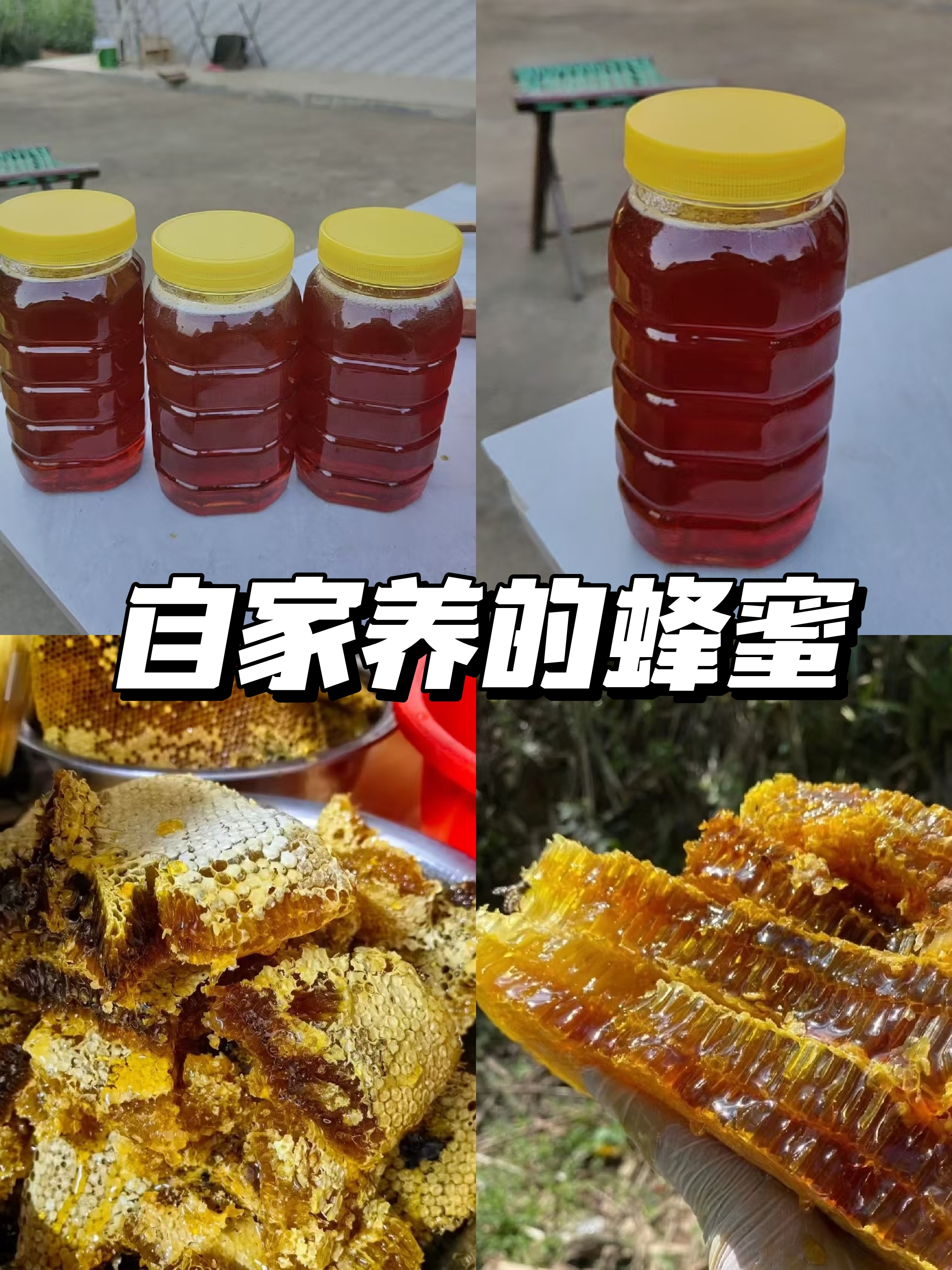 野生蜂蜜能放几年(野生蜂蜜可以放多久不变质)