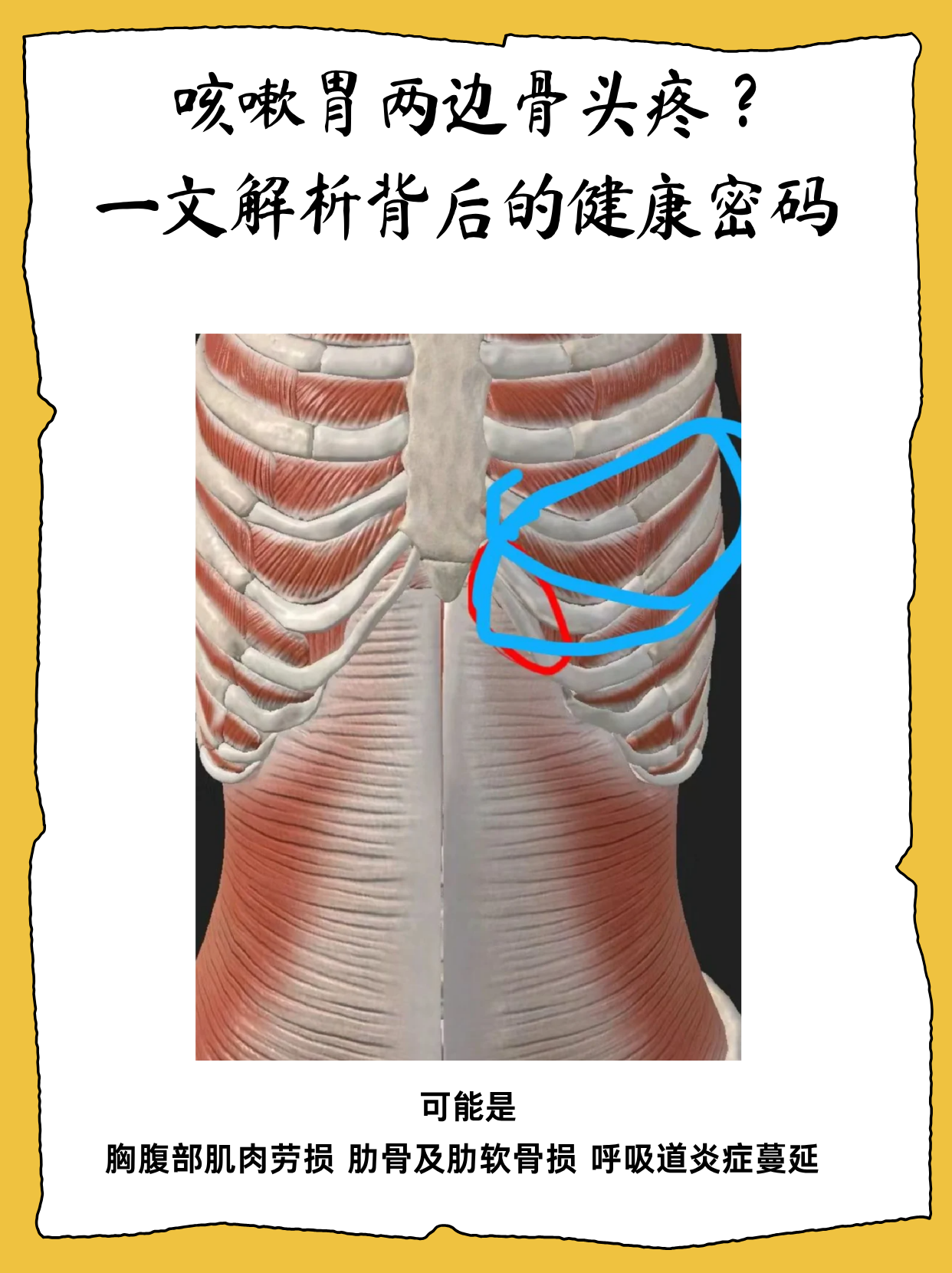 一文解析背后的健康密码