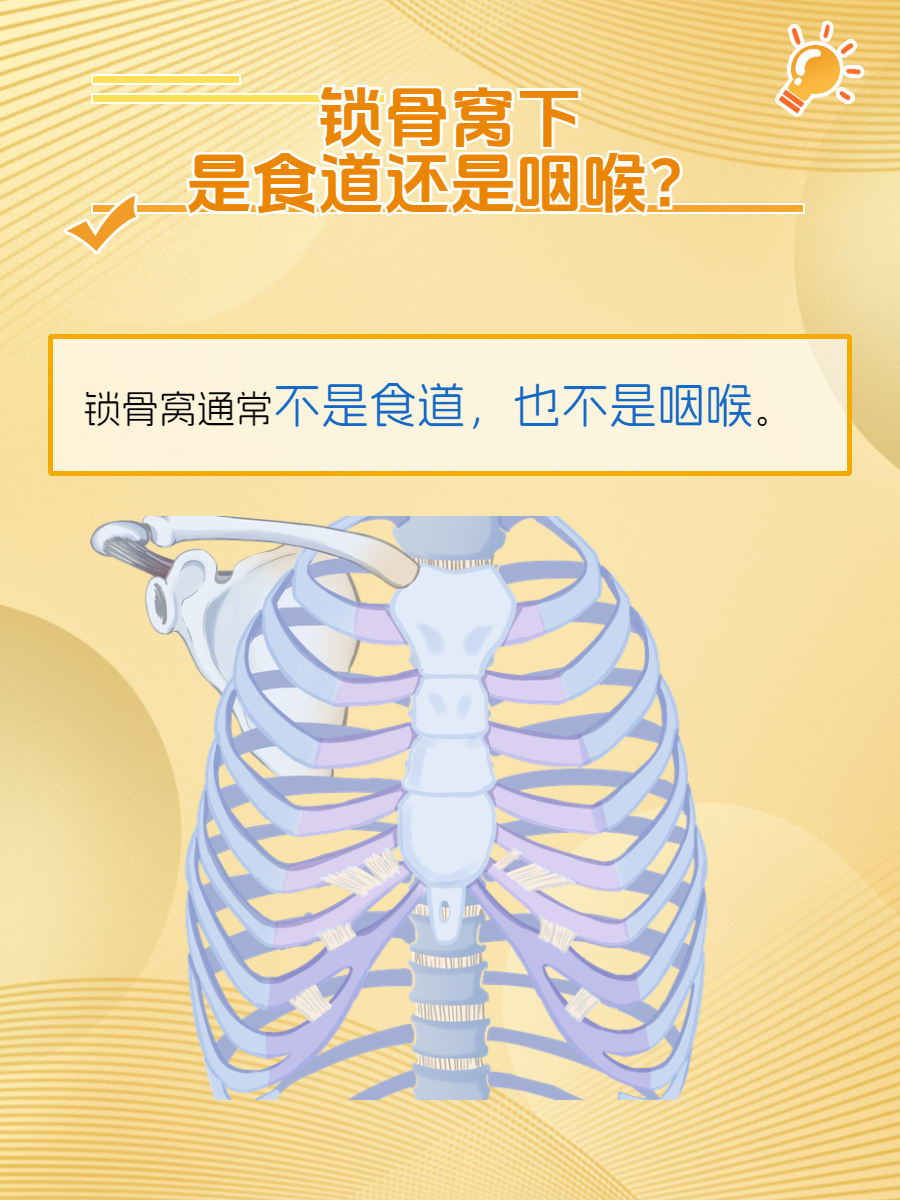 喉咙下面骨头凸起图片图片