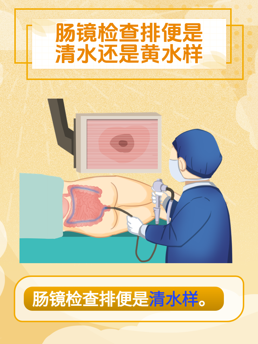 做肠镜大便清水样图片图片