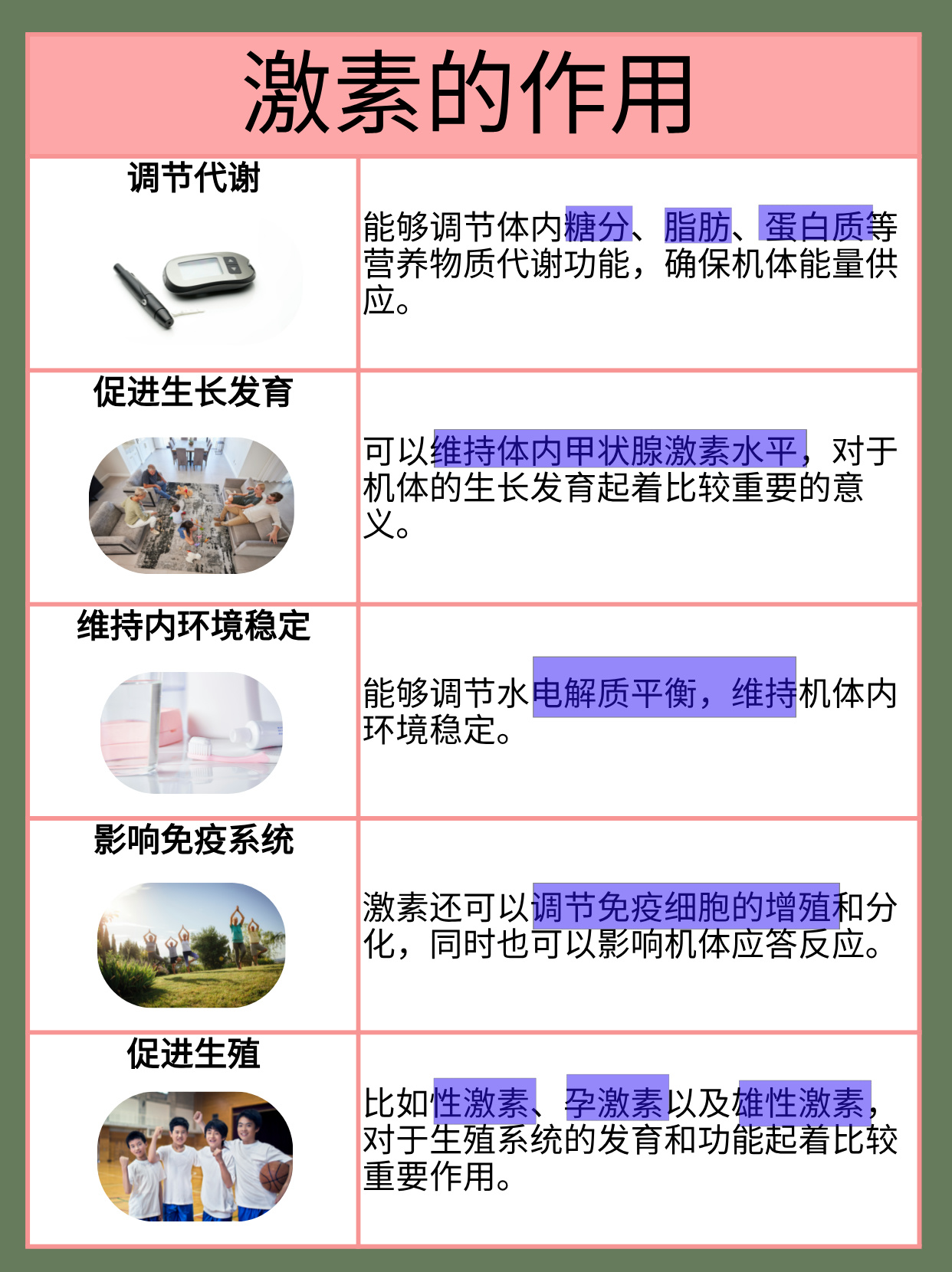 激素的作用 激素作为一类具有多种生物活性的重要分子,在人体内发挥着