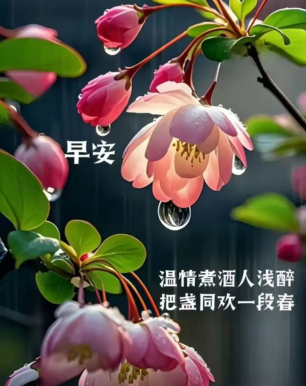 寻古运河畔,梦回秦唐汉,先秦诸子耀宇寰,文明华夏先