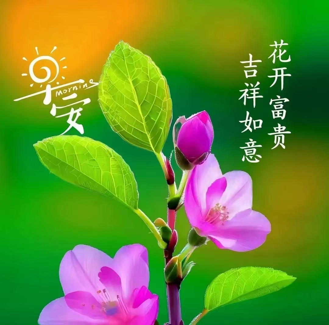欣逢喜事忽返乡,千里黄淮足下长;沃野平畴麦飞黄