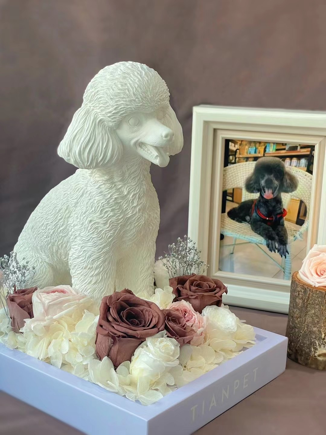赋予爱的意义离别多了一层珍贵的含义 · angel 贵宾犬frankie宝贝