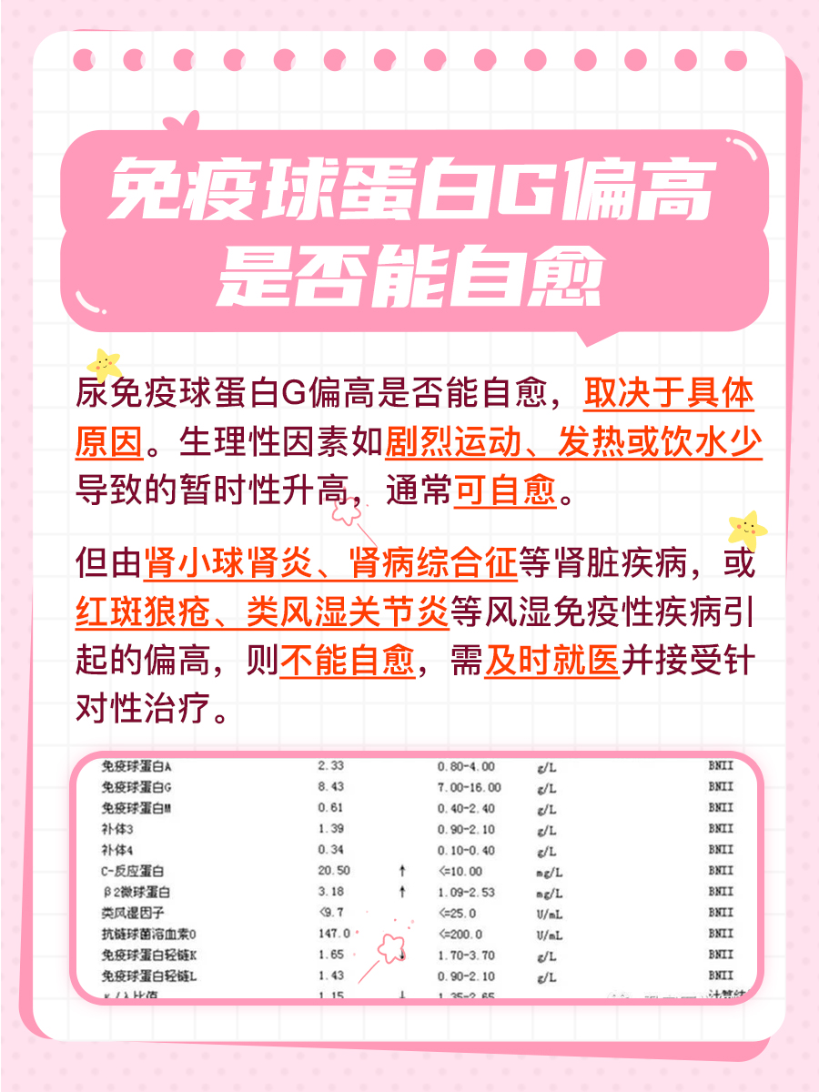 一文带你解析:尿免疫球蛋白g偏高会自愈吗?