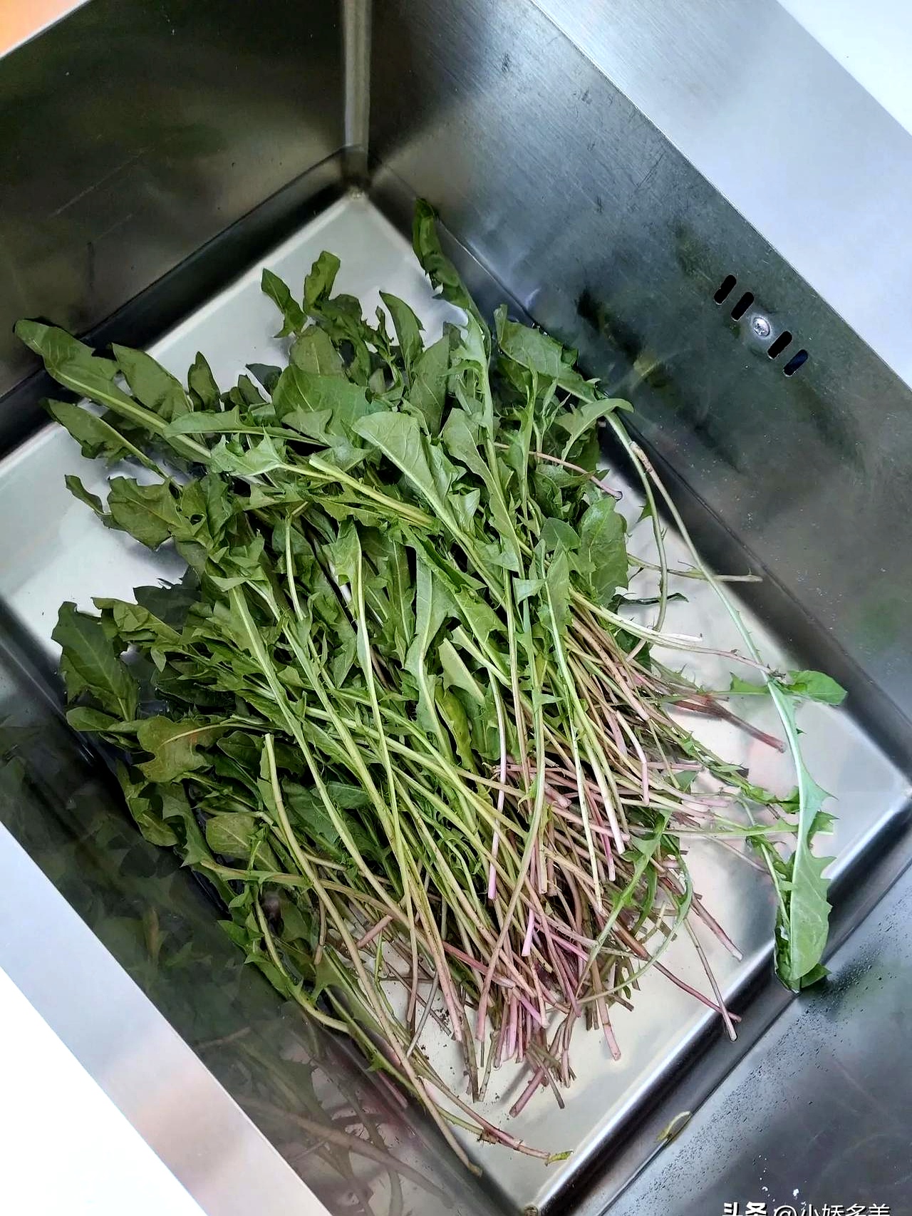肺结节?  婆婆丁+荷包蛋?  这土方子亏也真敢信