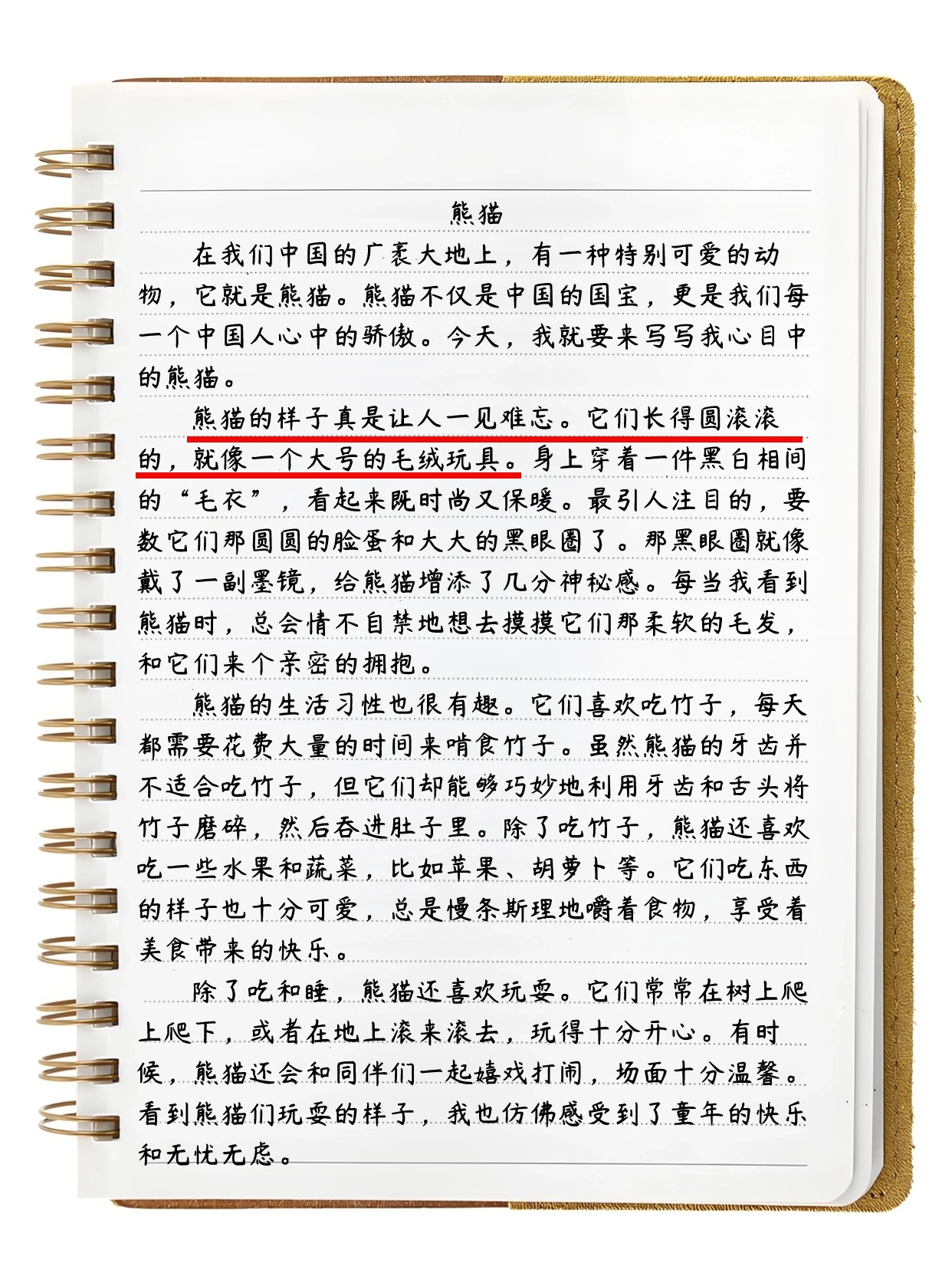 三年级作文熊猫