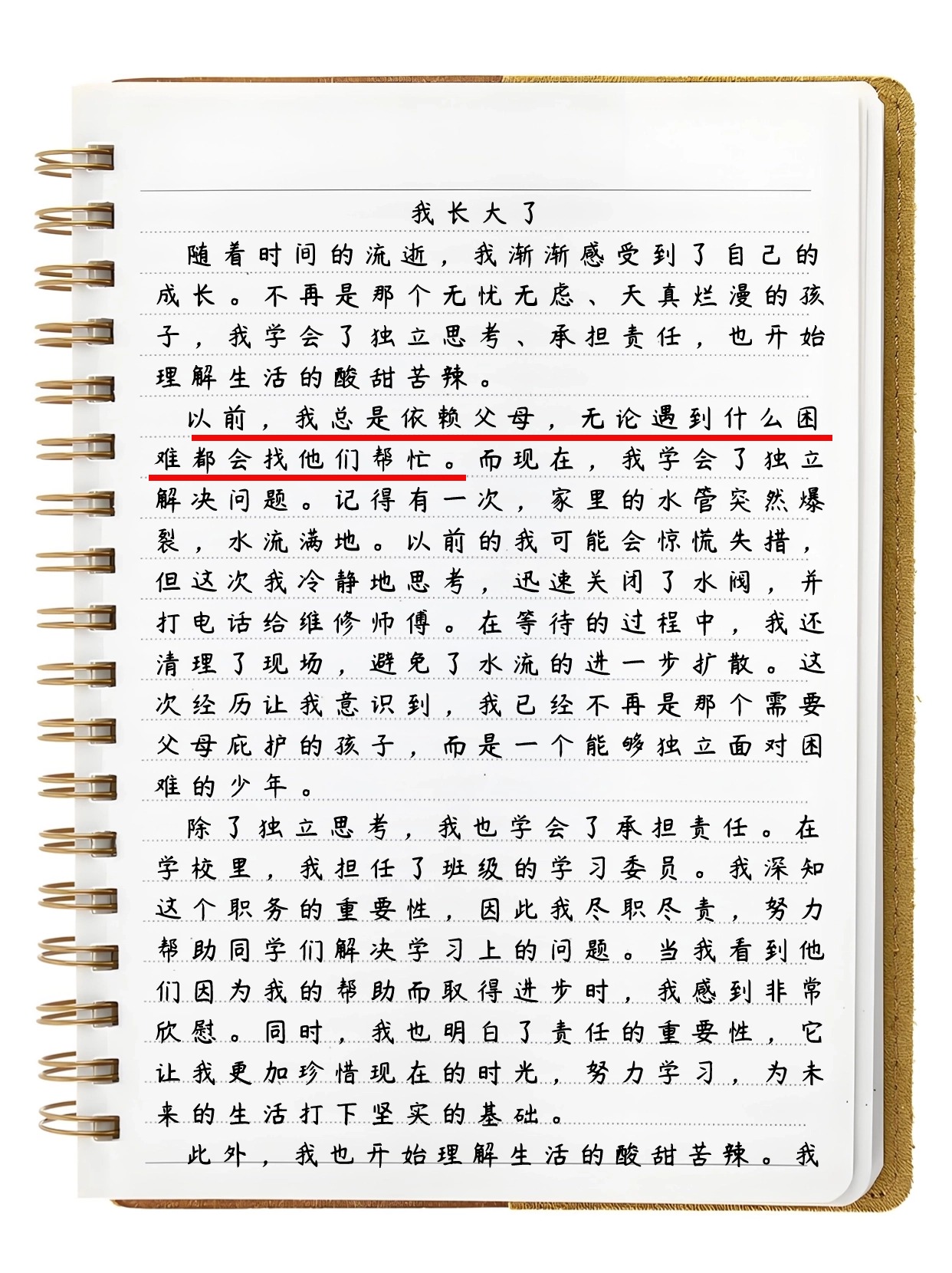 我长大了作文