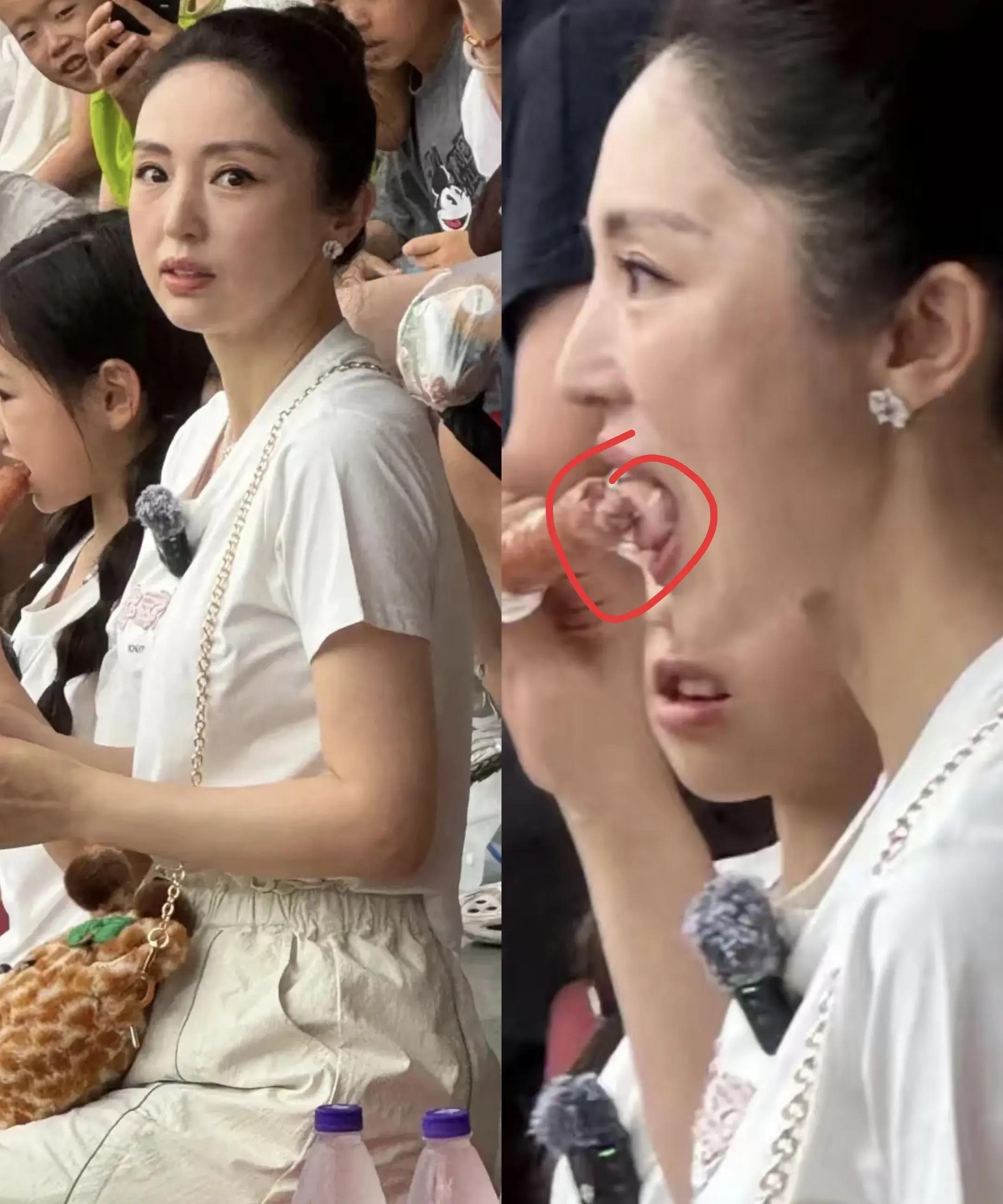 前几天有网友拍到董璇带女儿去小酒窝去了郑州银基动物园
