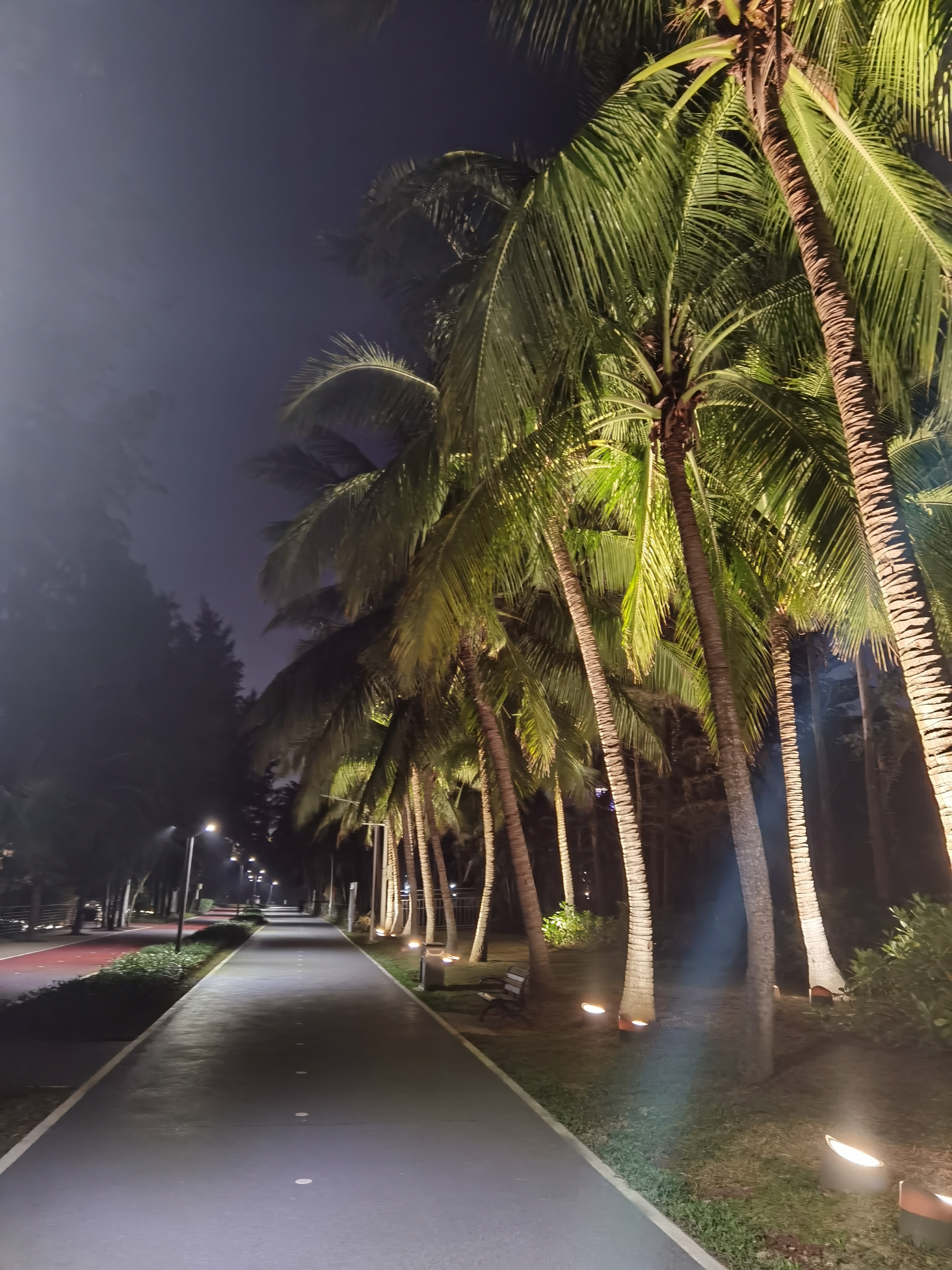 照片海口路灯夜晚街道图片海口海南夜色马路夏天夜晚城市夏天夜晚图片