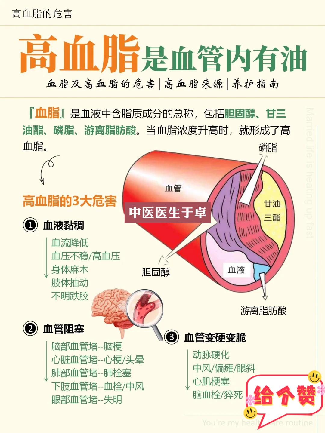 血脂就是血管内流淌的是油 『血脂』是人体血液中所含脂质成分的总称