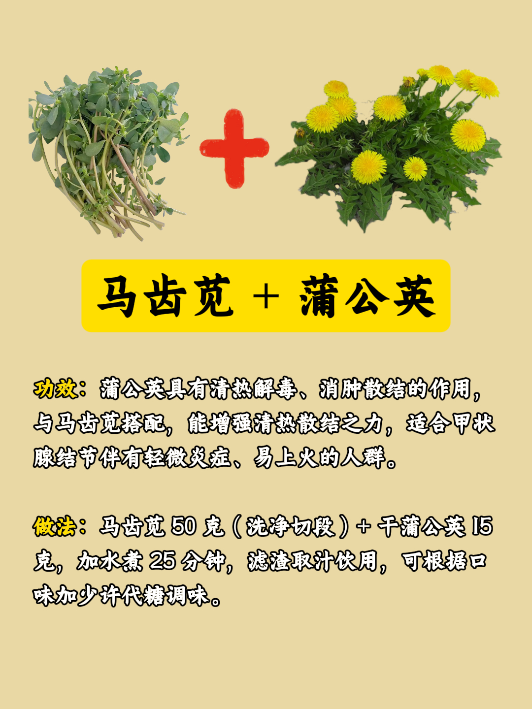 90% 的人都不知道马齿苋这样吃对甲状腺结节 超管用
