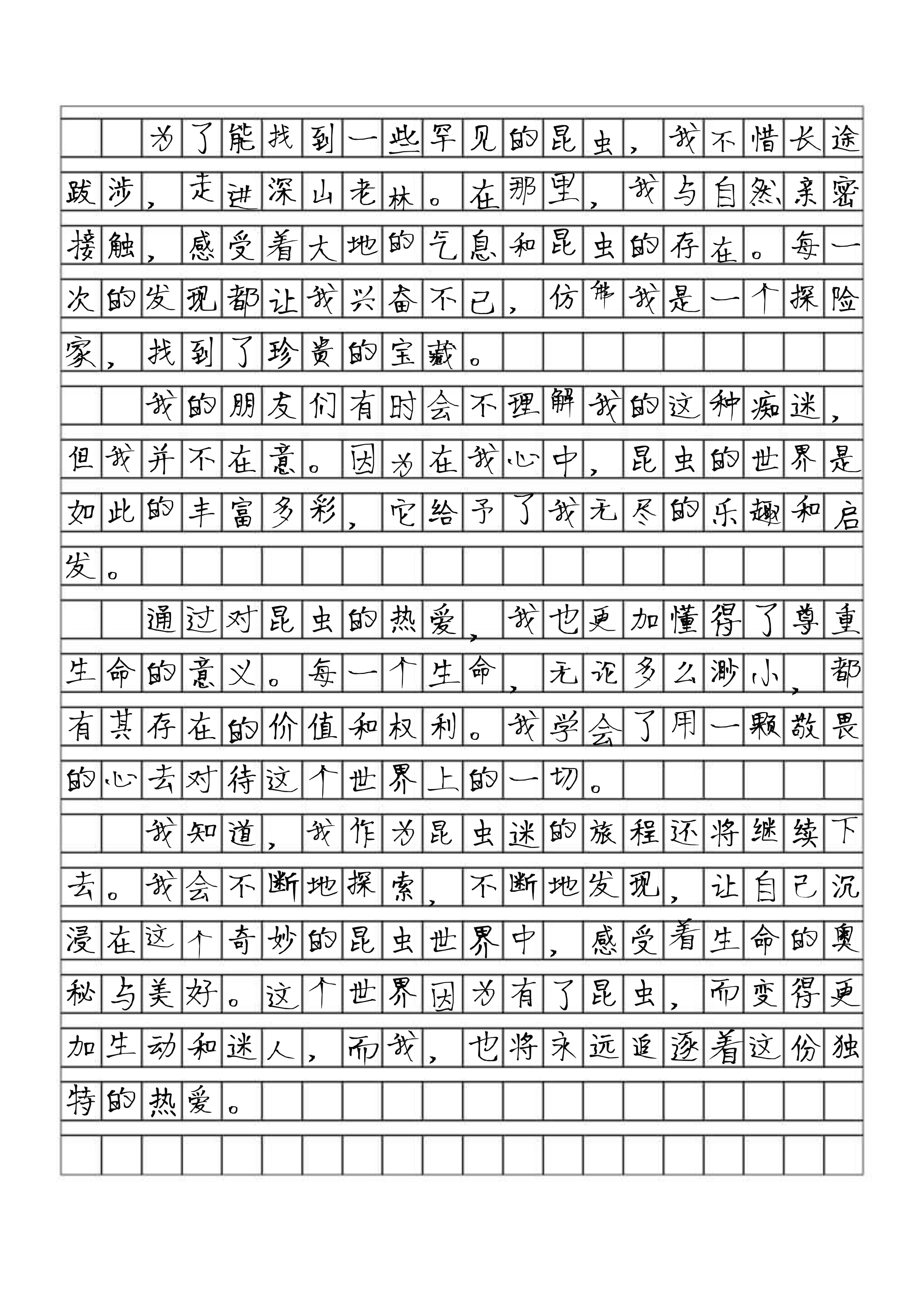 昆虫迷作文