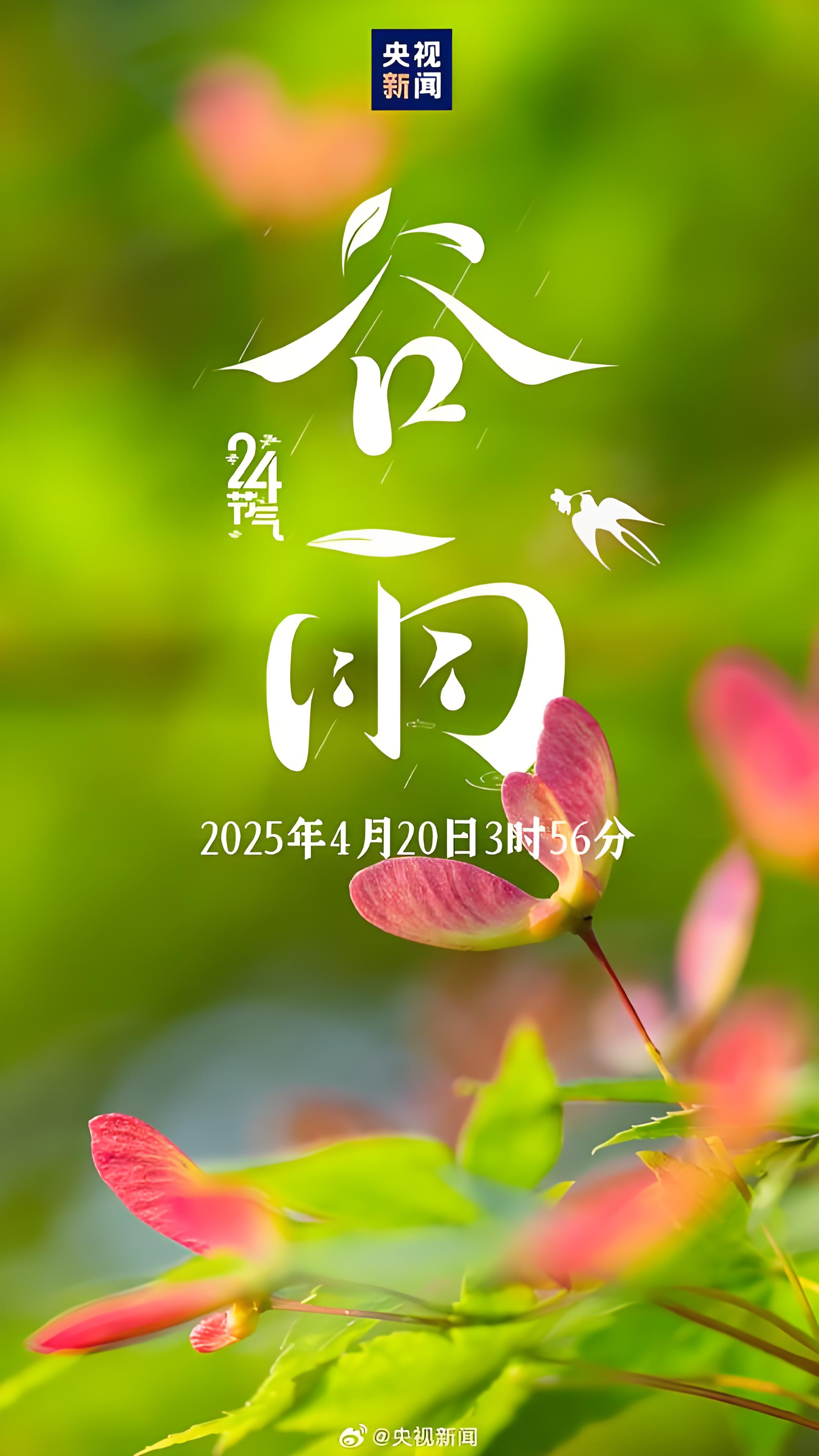 "谷雨" 得名于 "雨生百谷",此时降水明显增多,对初插的秧苗,新种的