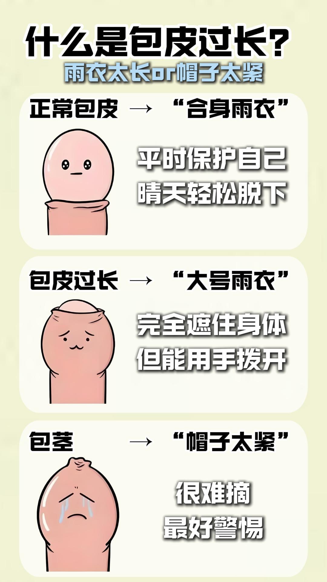 正常的标准图片包皮过长图片对照包皮过长的图片包茎和包皮的区别图片