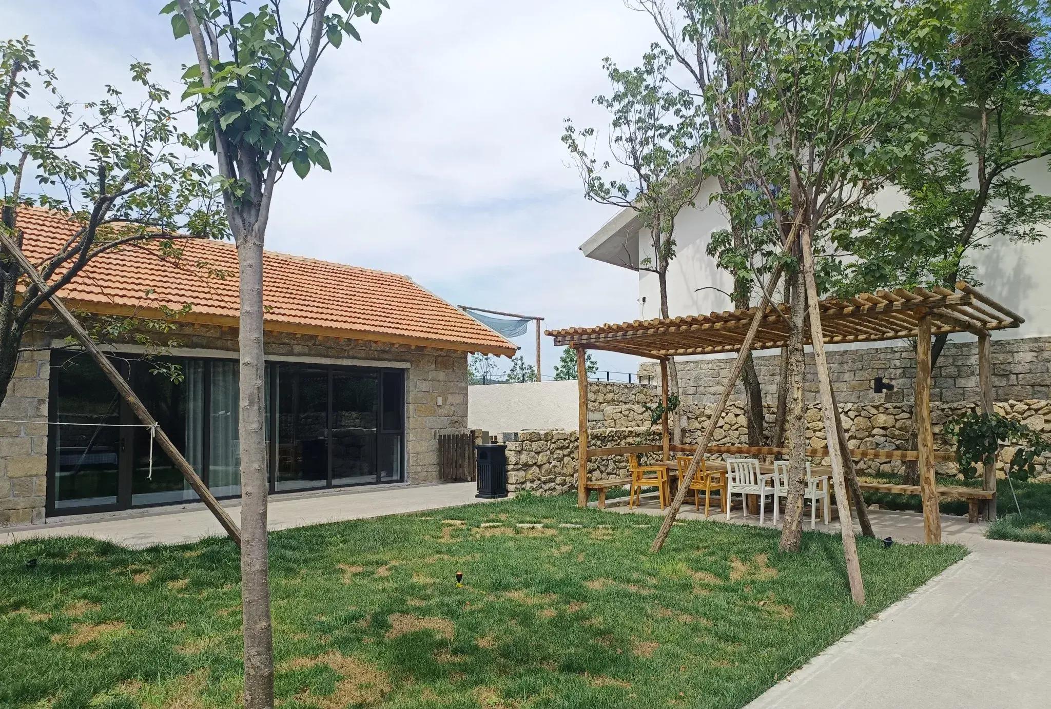 在乡镇委员中,哪个委员最有可能重用为副书记呢?