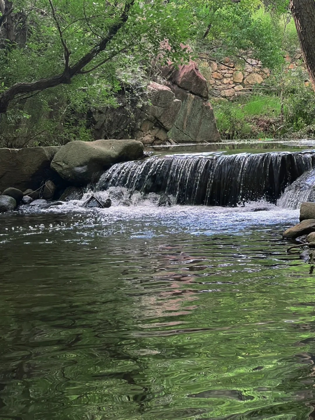 5h逃离酷暑,直奔姚家山香溪谷 解锁夏日玩水新姿势
