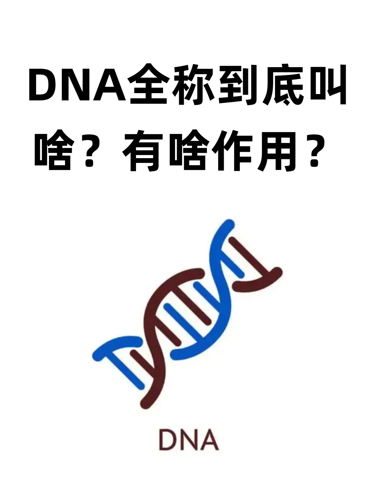 dna的全称是脱氧核糖核酸
