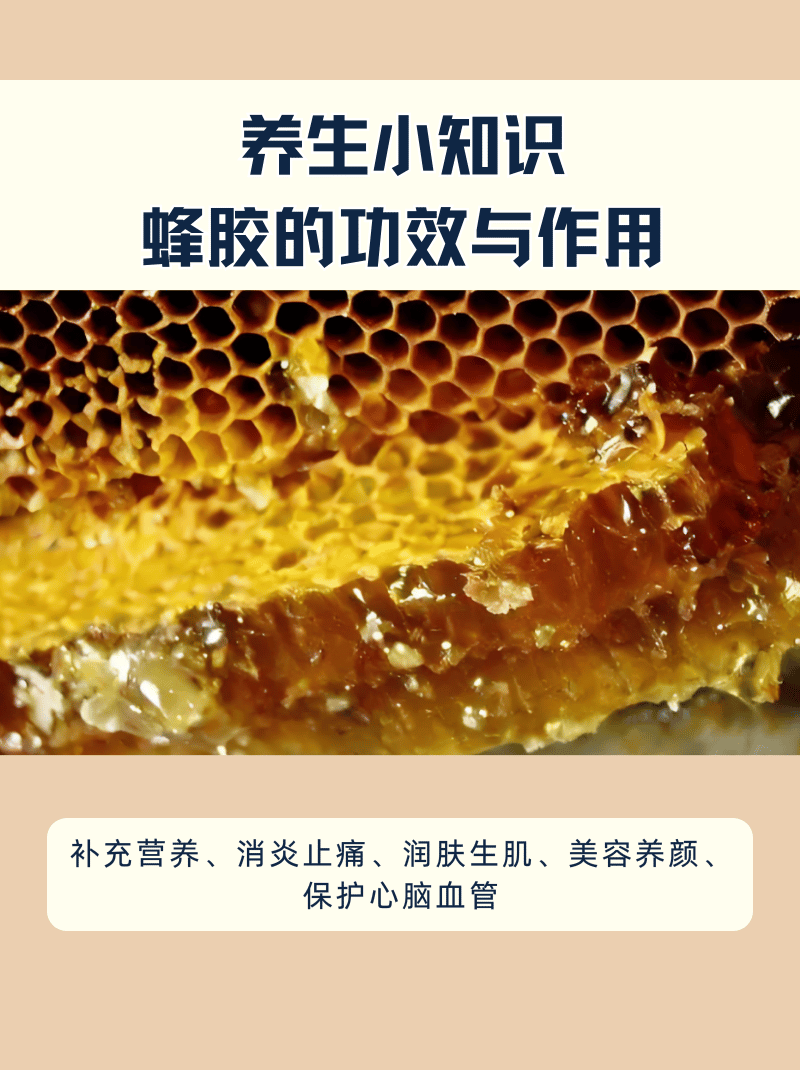 蜂胶的功效和作用主治是什么呢(蜂胶的作用与功效价格与适宜人群)