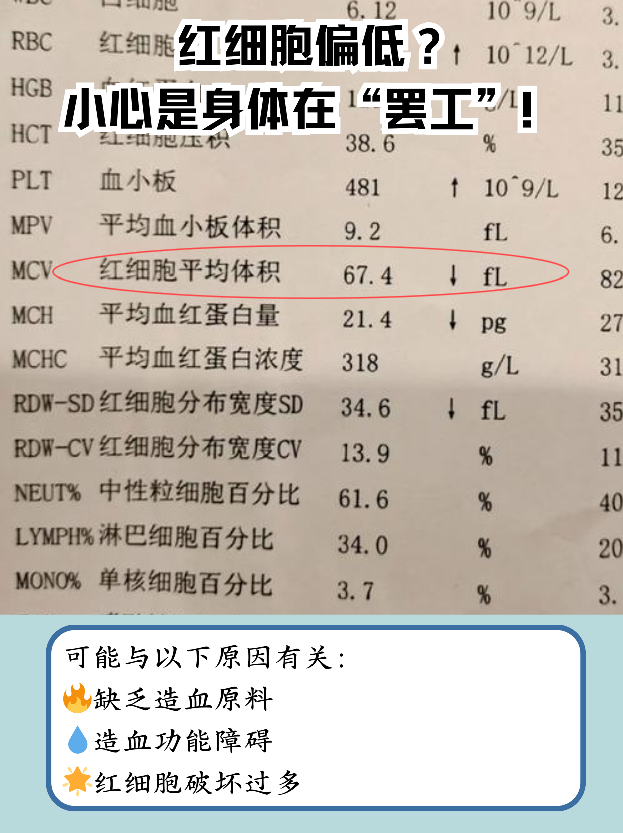 血象高是什么原因造成为什么在线