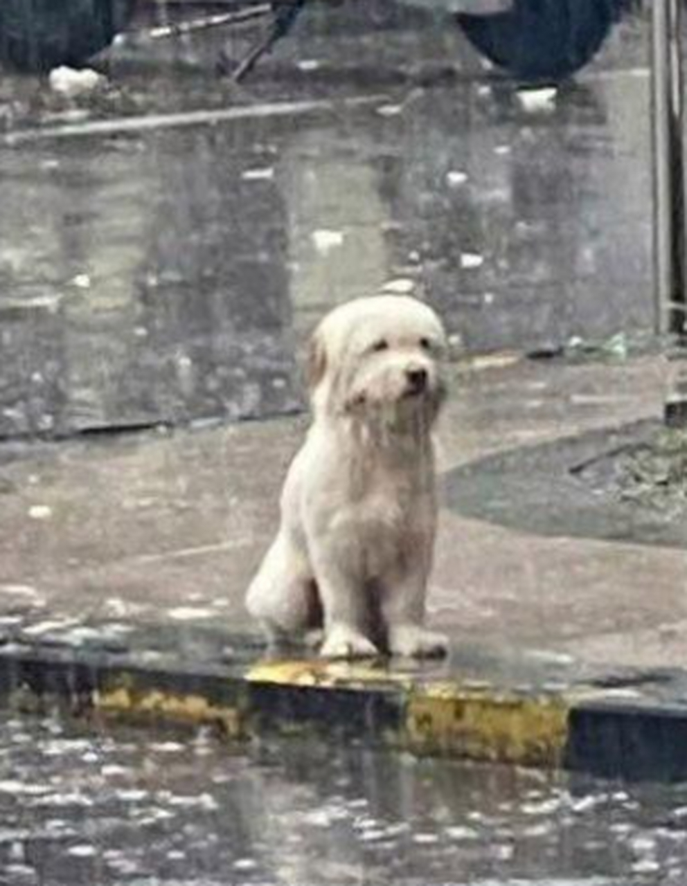 暴雨重制版沐浴图片