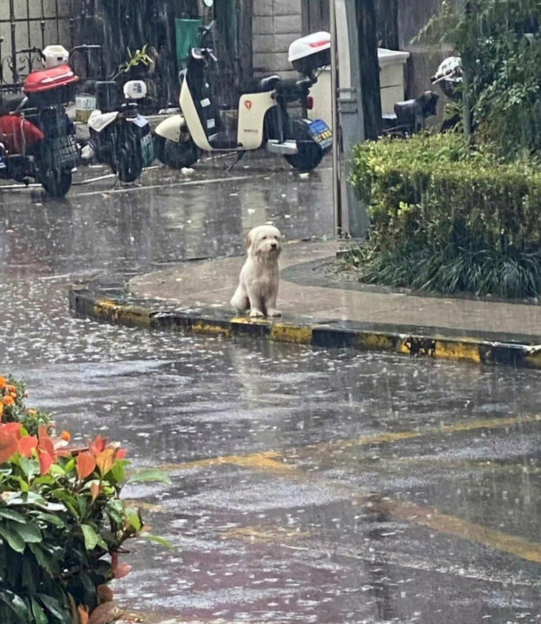 暴雨重制版沐浴图片