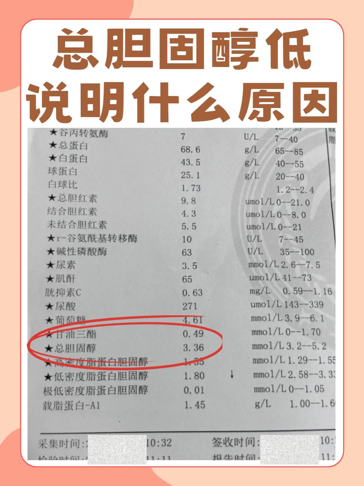 为什么会胆固醇高