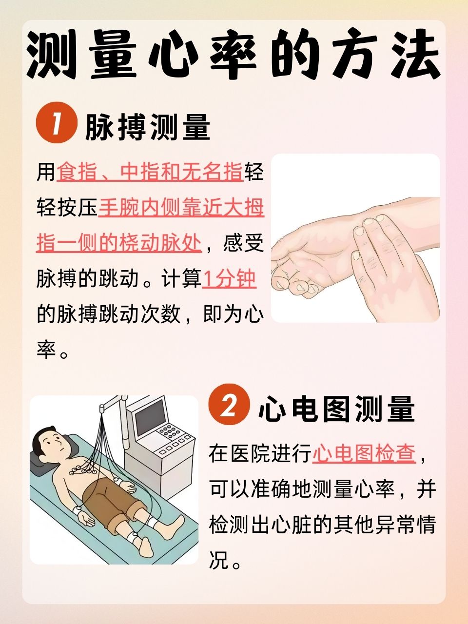 运动员心率为什么慢