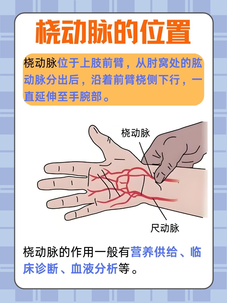 下面,我们就来聊聊一条重要的血管