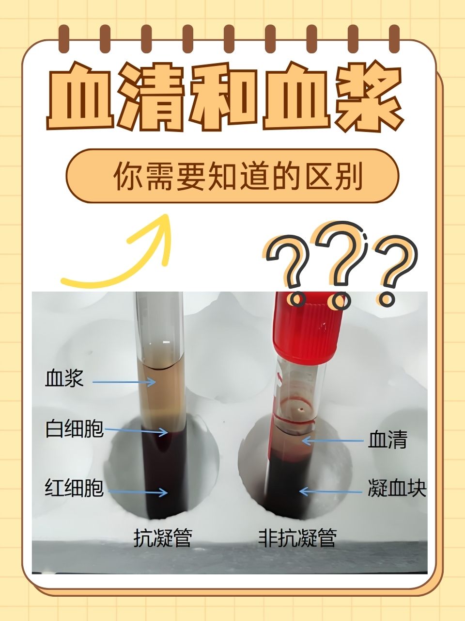 血清和血浆:你需要知道的区别