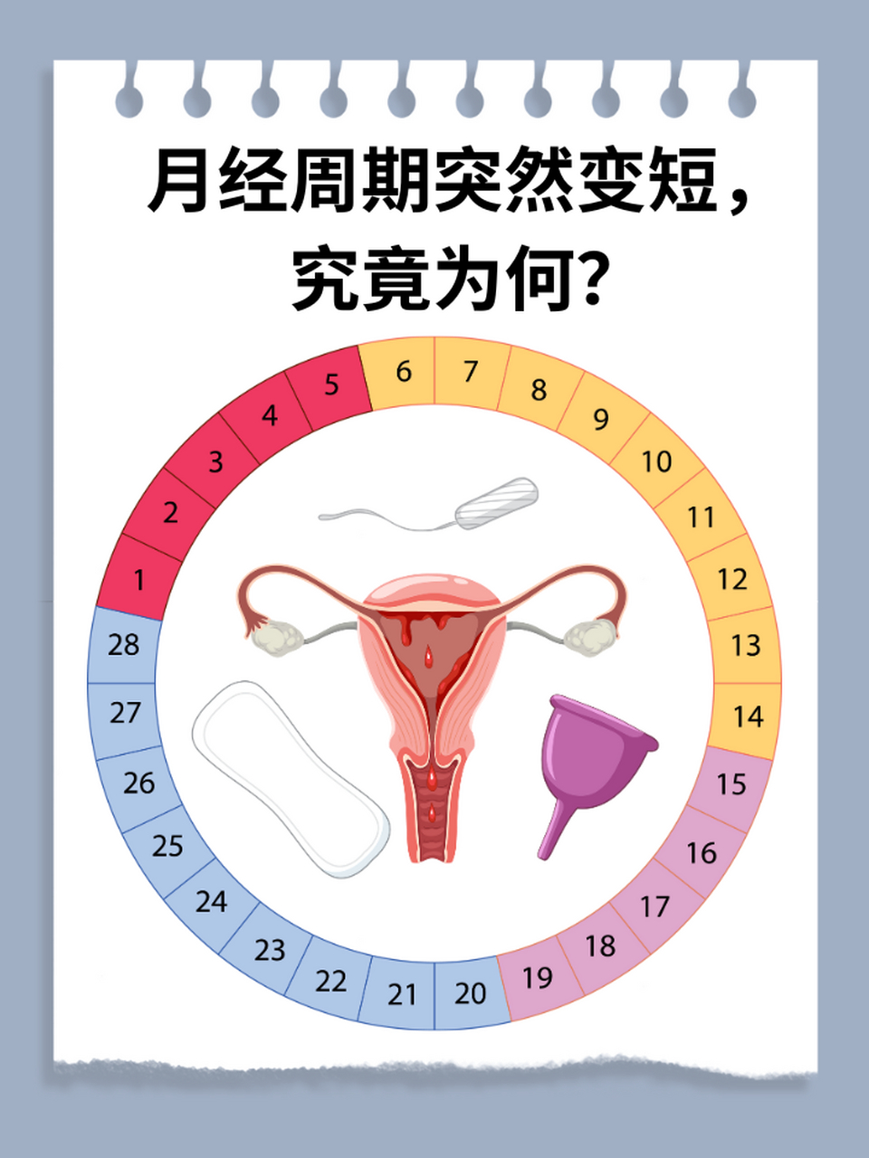 女性生理周期 间隔图片