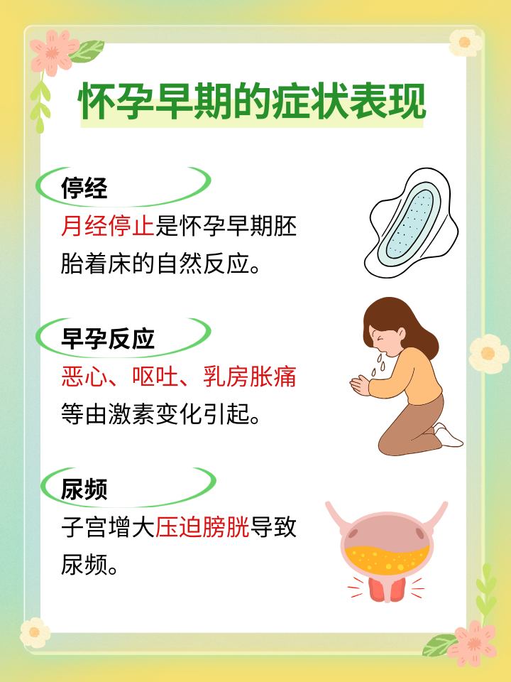 母婴社区:连接爱与智慧的桥梁