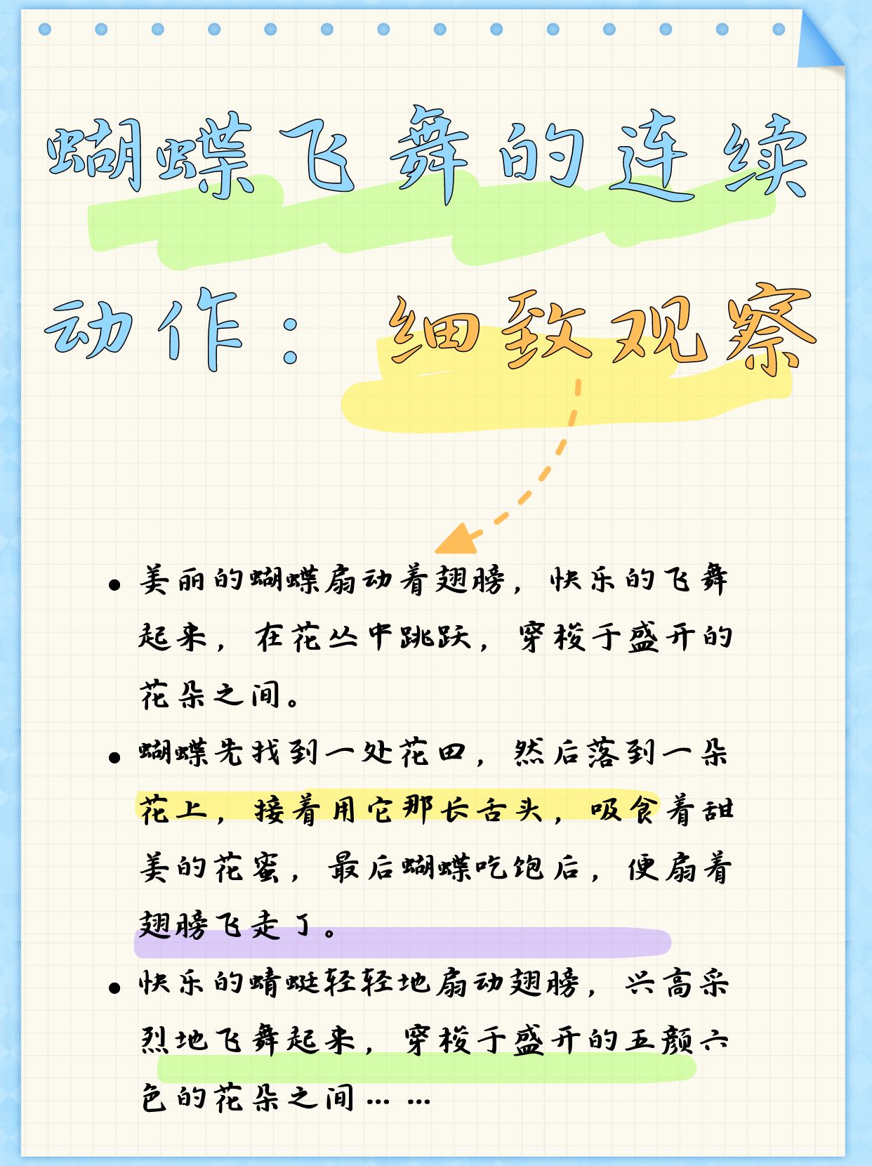 蝴蝶飞舞的连续动作一段话连续动作的句子蝴蝶飞舞写一组连续的动作写