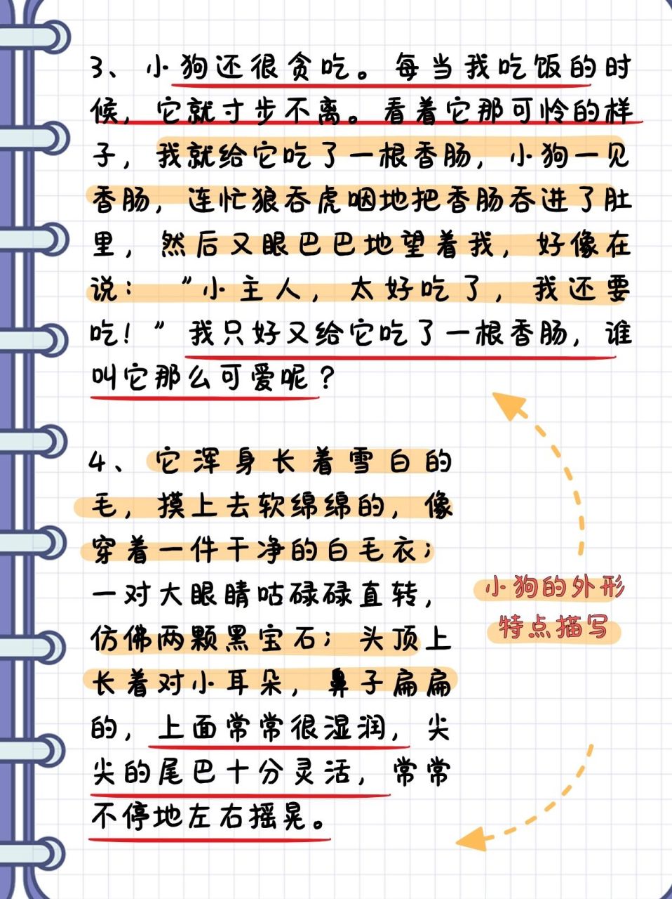 狗的外貌特征和特点图片