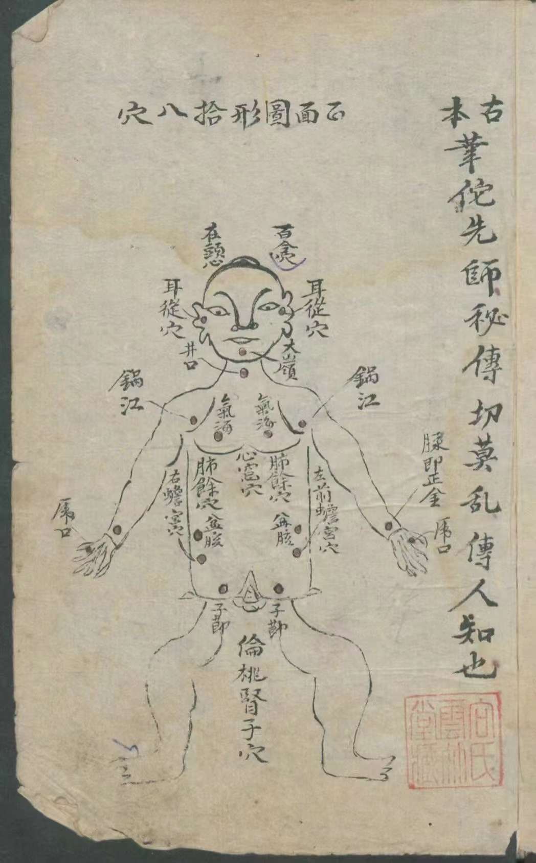 不死印法和长生诀
