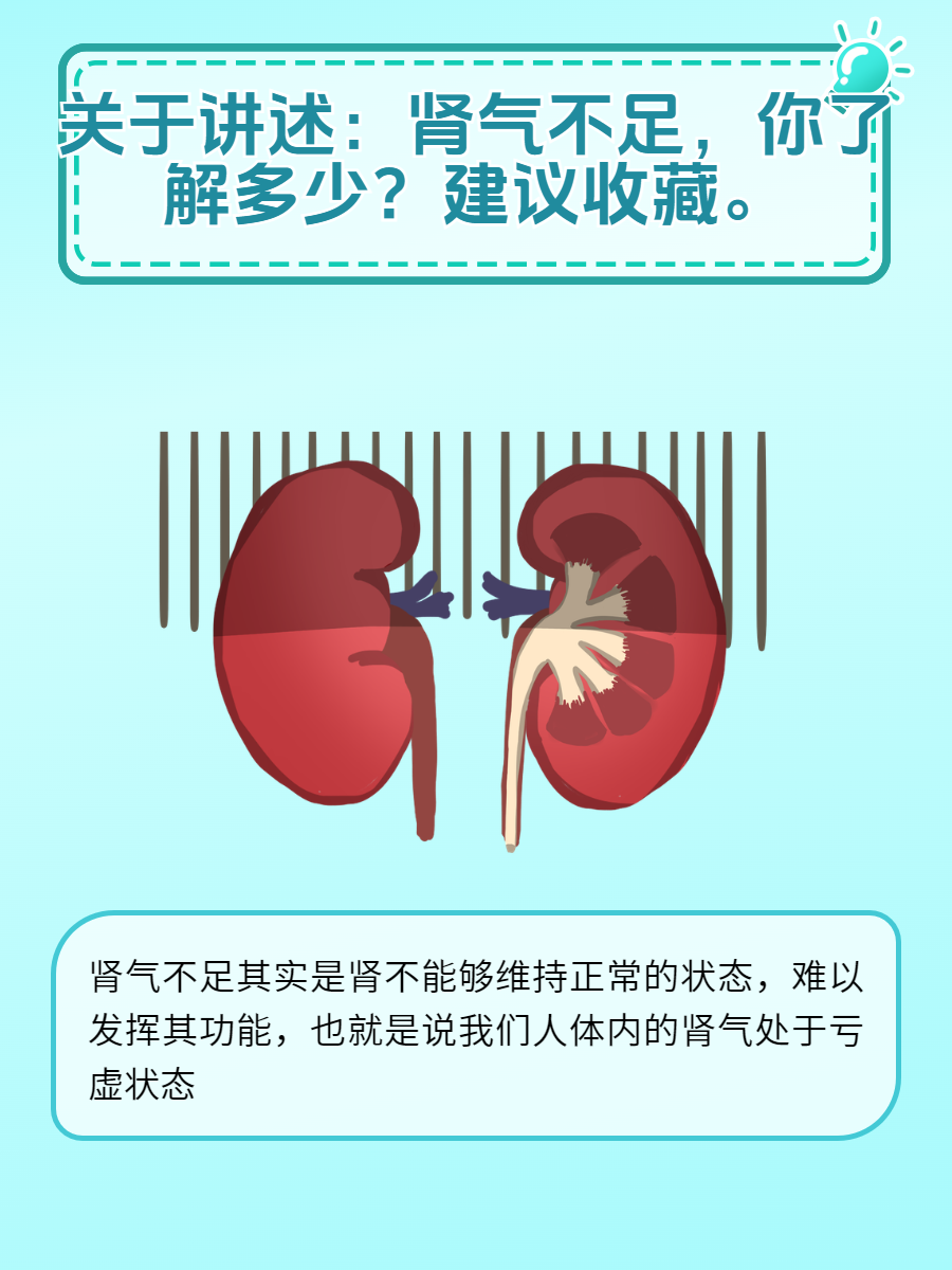 关于讲述:肾气不足,你了解多少?建议收藏.  肾气不足是什么导致的?
