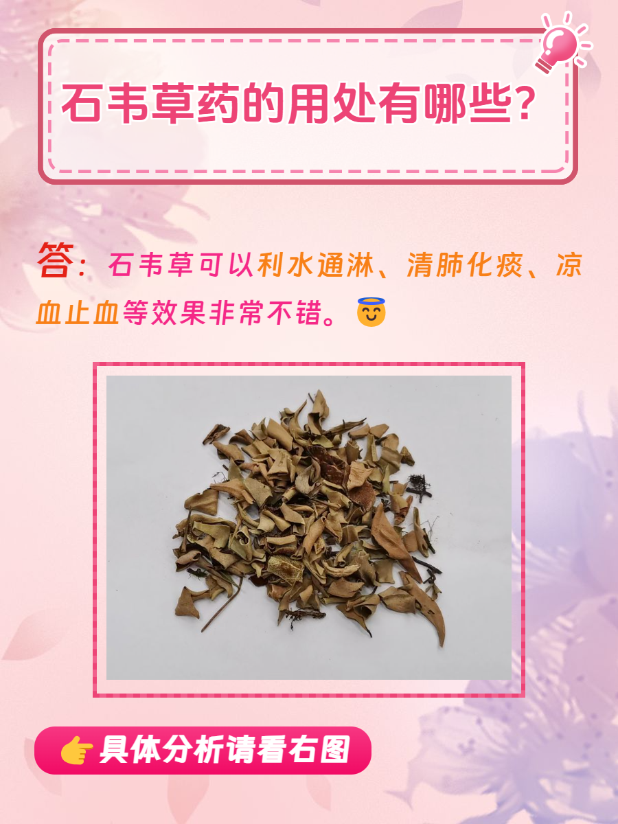 沈氏女科补血秘方石韦（石韦是治疗肾病的殊效
药）《石韦主治什么》