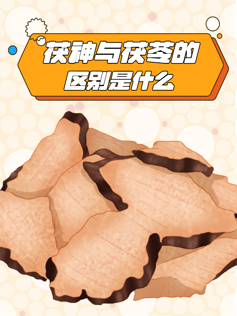 茯神与茯苓的区别是什么?
