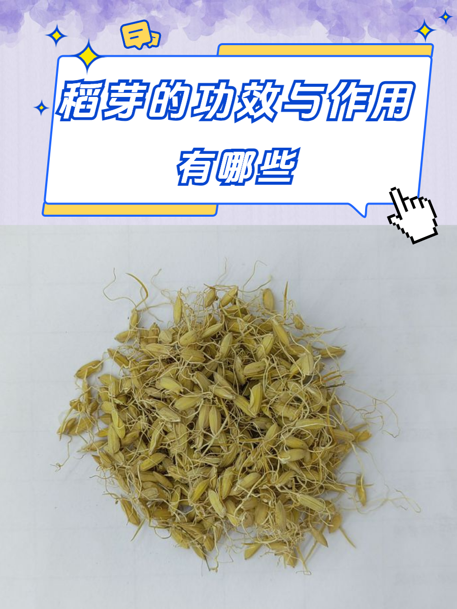 稻芽的功效与作用图片图片