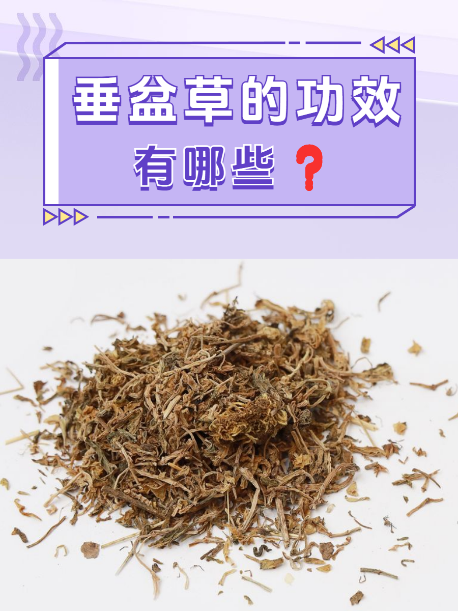 覆盆草本草拾遗图片