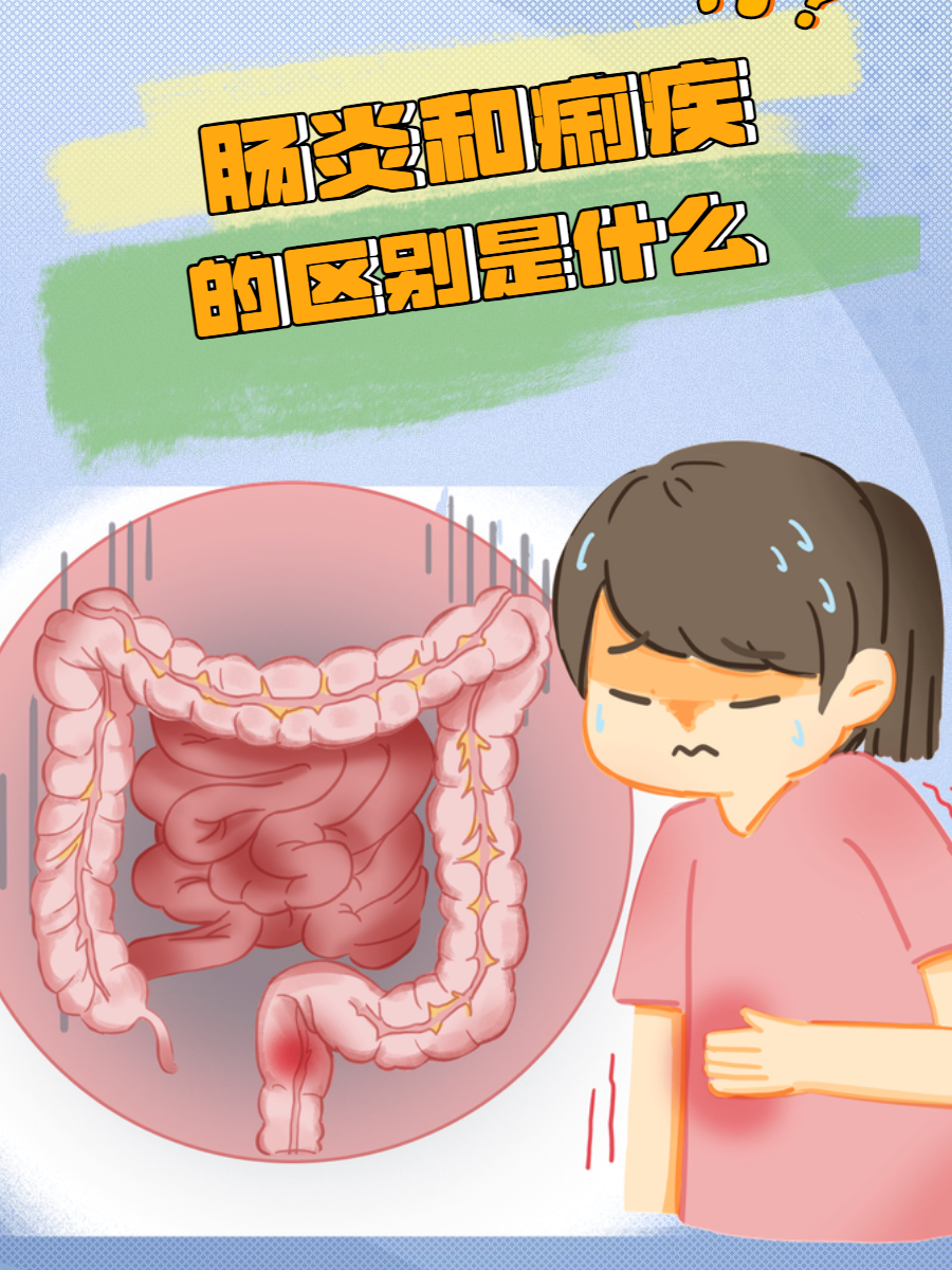 肠炎和痢疾的区别是什么?