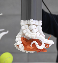 形状和尺寸物体章鱼软体机器人软体章鱼机器人中国科大章鱼机器人图片