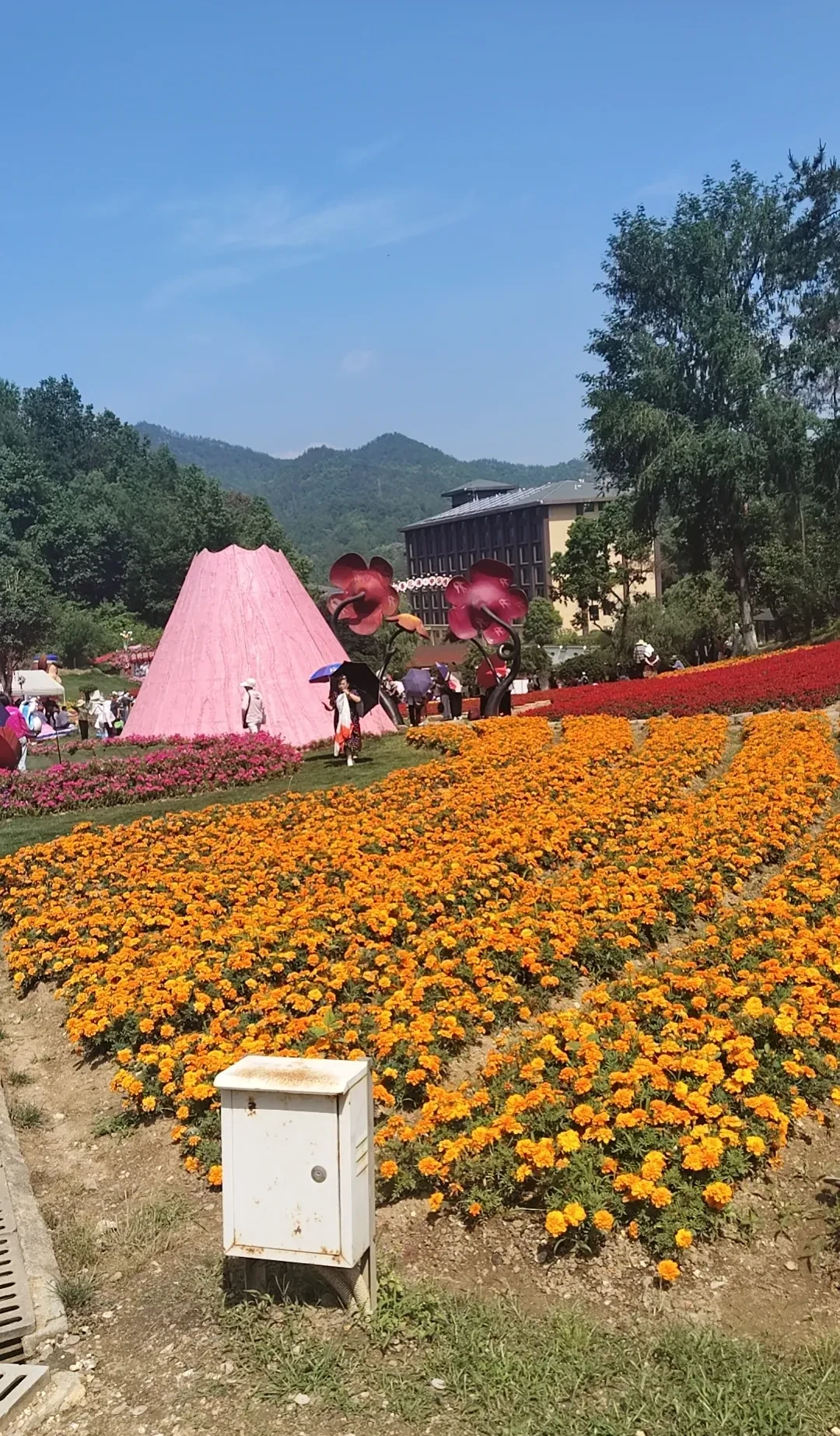 基地图片襄阳市石花有什么好玩的地方吗淅川菊花岭呈贡醉花东篱最值得