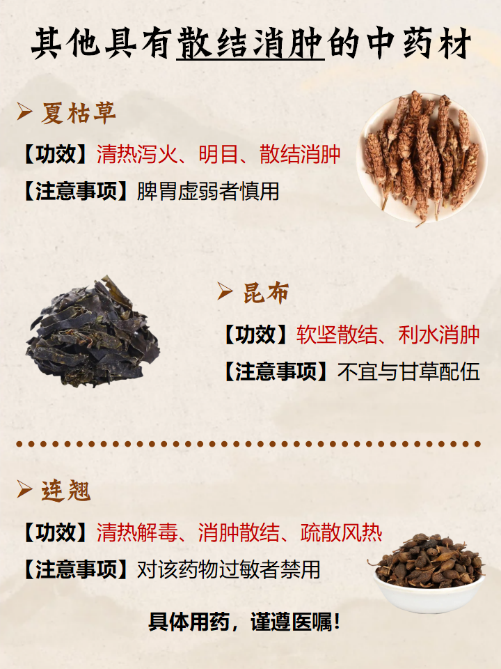 胆南星功效与作用及禁忌症