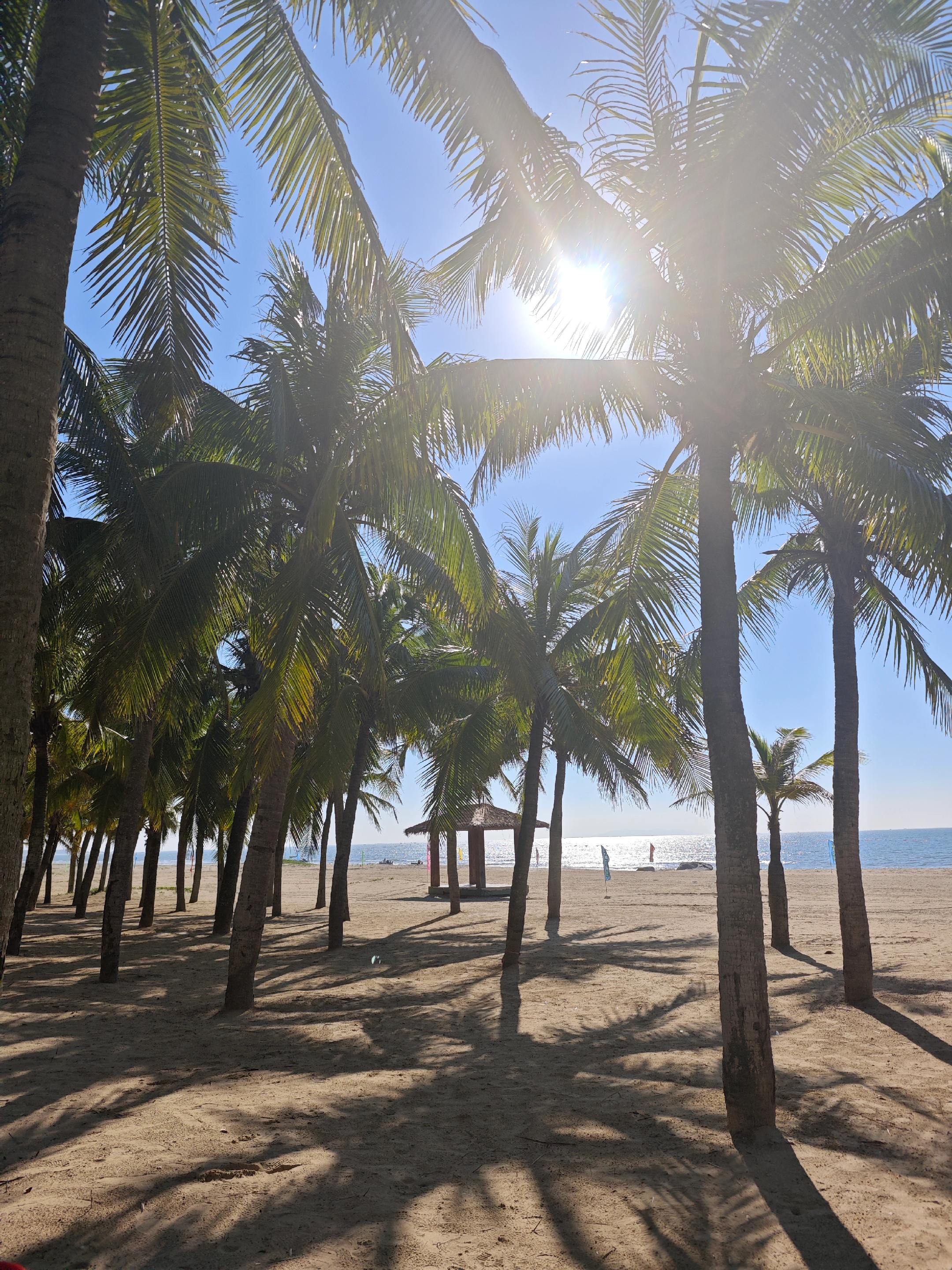 作为一枚刚在沙滩上堆完城堡的赶海少女,这份攻略绝对让你玩得尽兴,吃