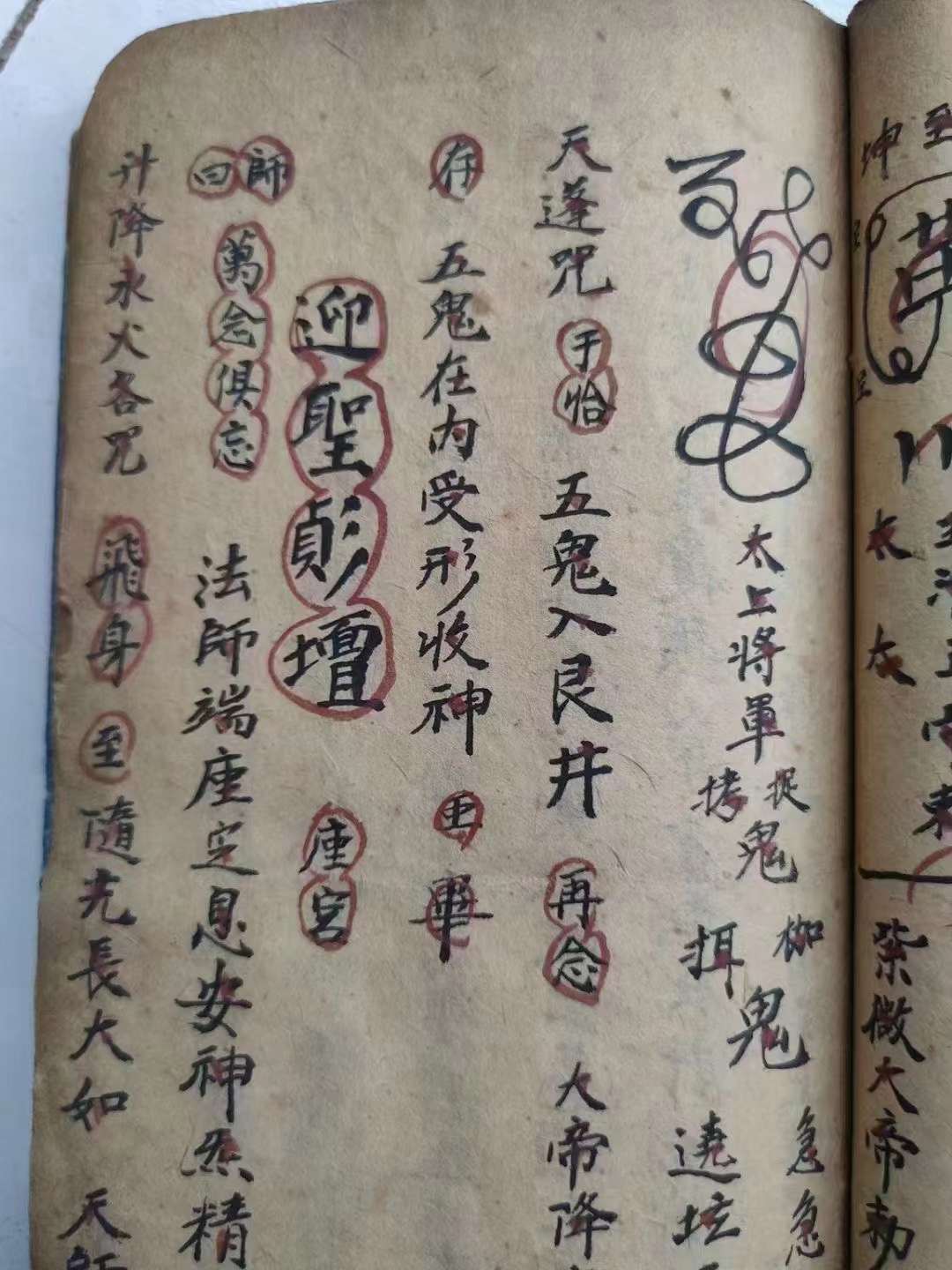 古籍分享——书名:《万金家谱》编著:康纪信版本