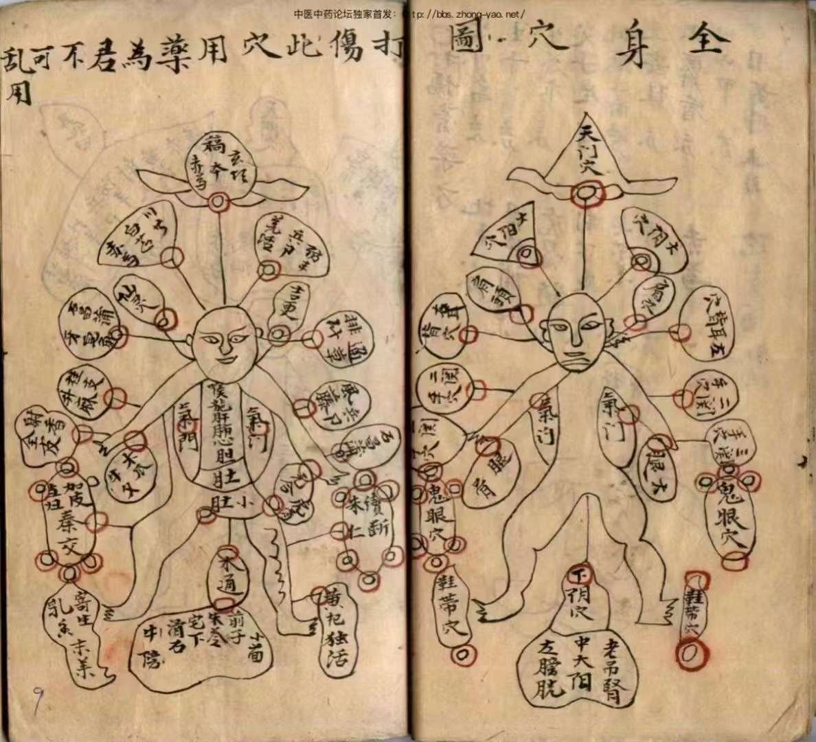 古籍分享——《药書》[福]光緒廿二年岁次丙申孟春