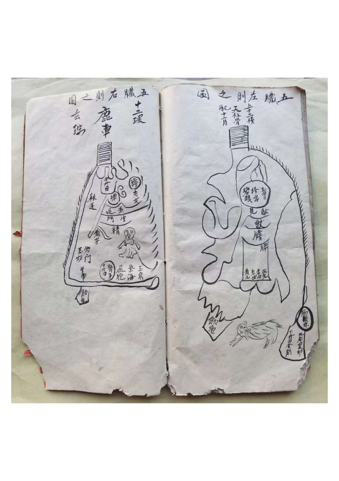 古籍分享——《祖师家宝传授》