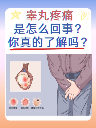 睾丸疼痛肿胀该怎么治疗? 				 发现疼痛肿胀别慌,先去医院检查