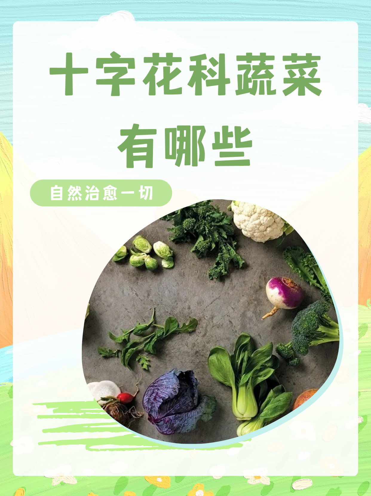 十字花科蔬菜特征图片